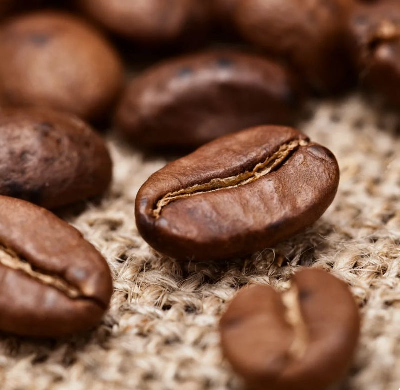Kophee Classic Indian Origin Coffee, Whole Beans, Small Batch Roasted, Single Origin